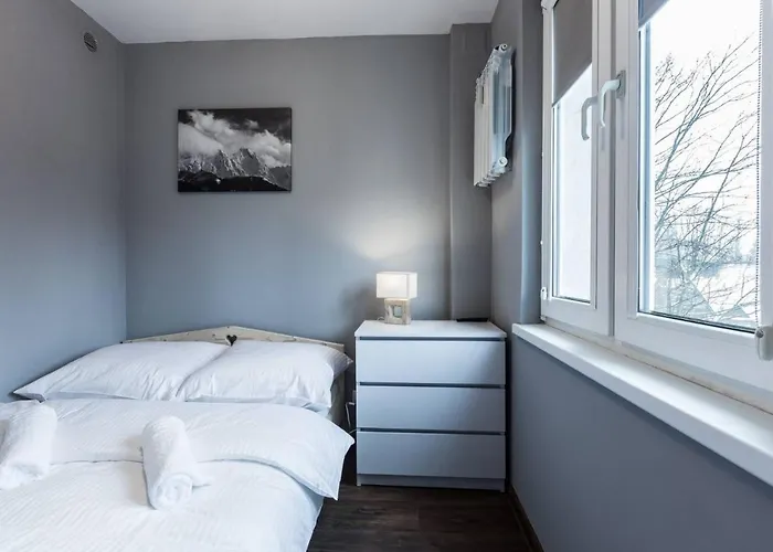 Swierkowy Potok, Odkryj-zakopane 扎科帕内